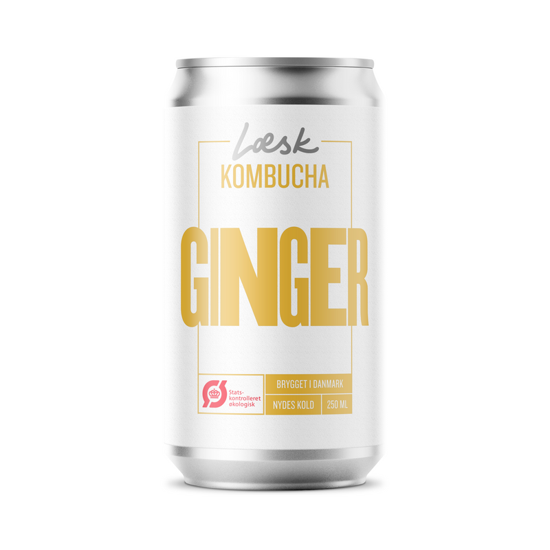 Læsk Ginger Kombucha 250 ml